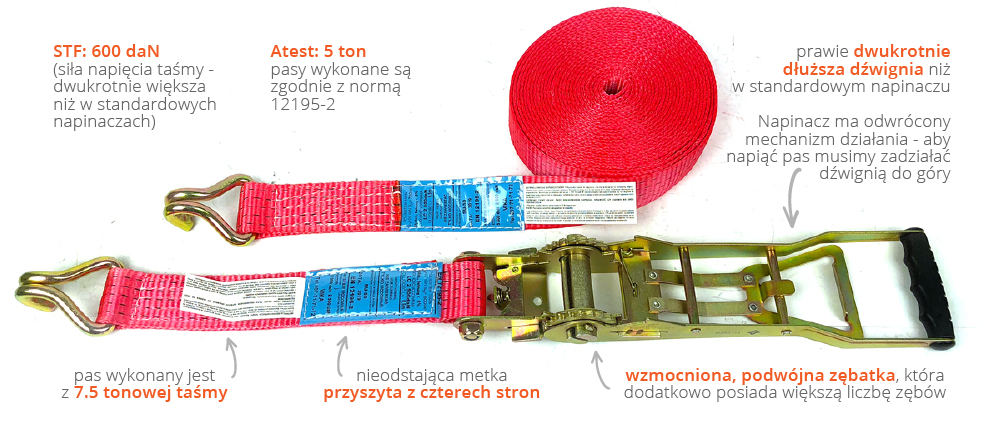 Pasy ERGO 600daN - szczegółowa budowa